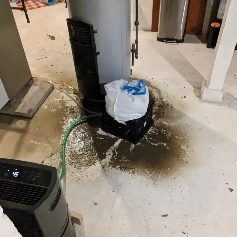 Sewage Backup Cleanup Service in Tucumcari, NM